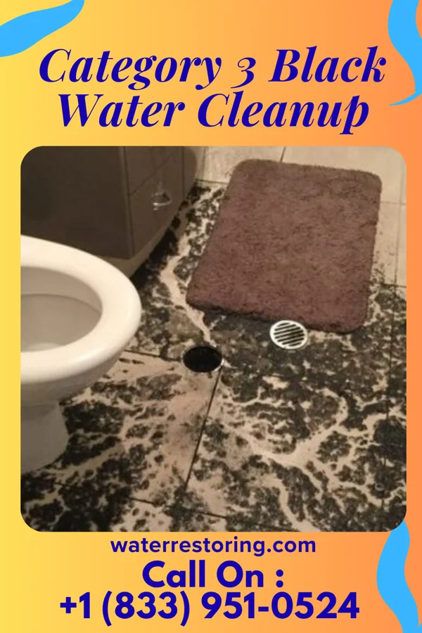 Category 3 Black Water Cleanup in Fairborn, OH