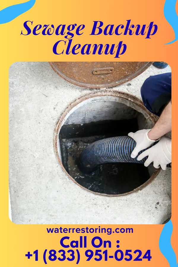 Sewage Backup Cleanup in Fairborn, OH