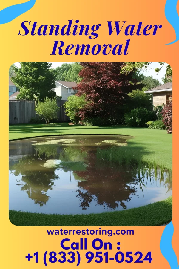 Standing Water Removal in Fairborn, OH